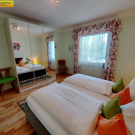 Apartment Central Bad Mitterndorf
